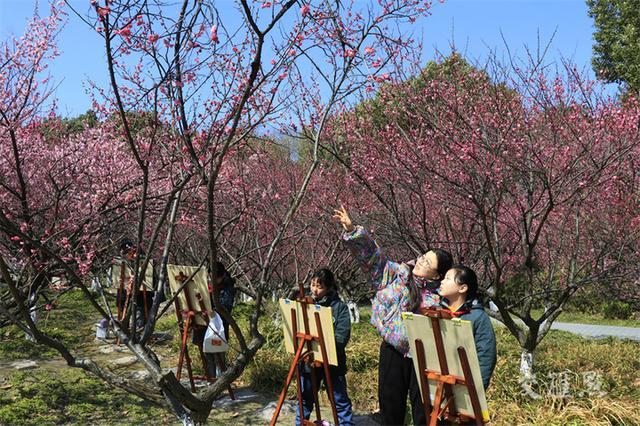 繁花似锦 最新江苏“赏花地图”来了