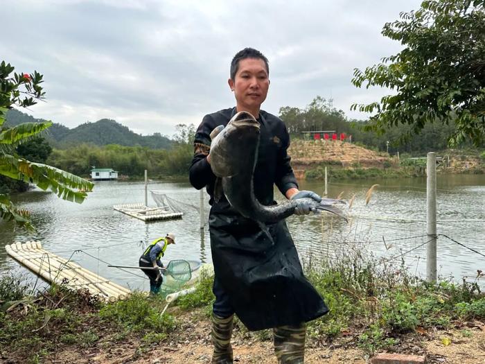 用山泉水养大的鱼，是什么味？鲜掉眉毛！