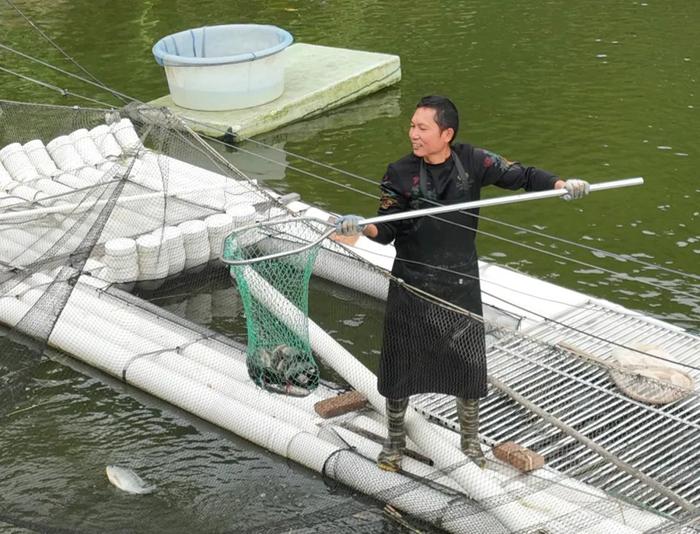 用山泉水养大的鱼，是什么味？鲜掉眉毛！