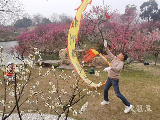 繁花似锦 最新江苏“赏花地图”来了