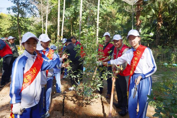 别开生面！华新小学的孩子们在植树节这天种上了中草药