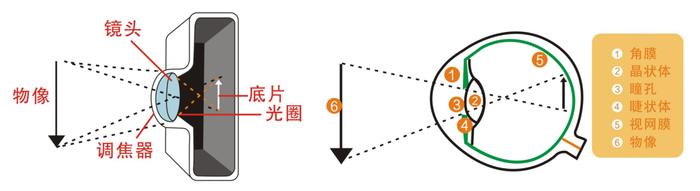 散光和近视一样，会逐渐加深吗？