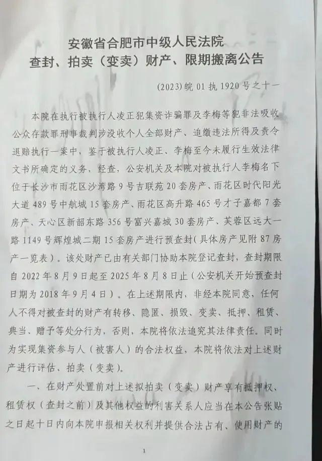 合肥女子李梅在长沙坐拥87套房，因涉罪被查封！合肥中院：将拍卖