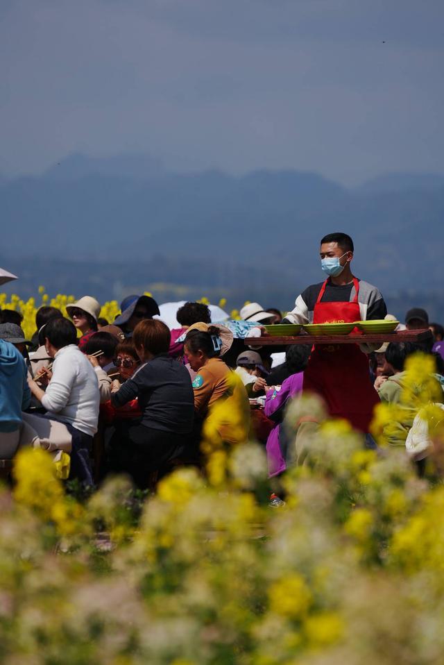 图集丨重现百年民俗 人们笑称四川芦山“油菜花开，七米多高”