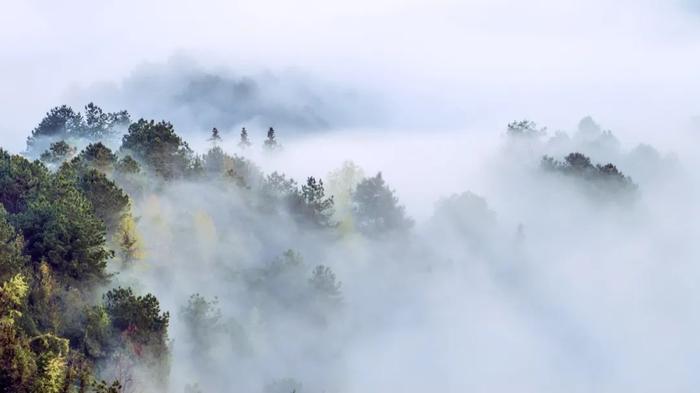 云雾缭绕、仙气十足，这样的桂林永远看不够