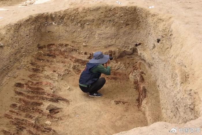 十大考古终评项目 |西北史前最大墓葬群——青海都兰夏尔雅玛可布遗址