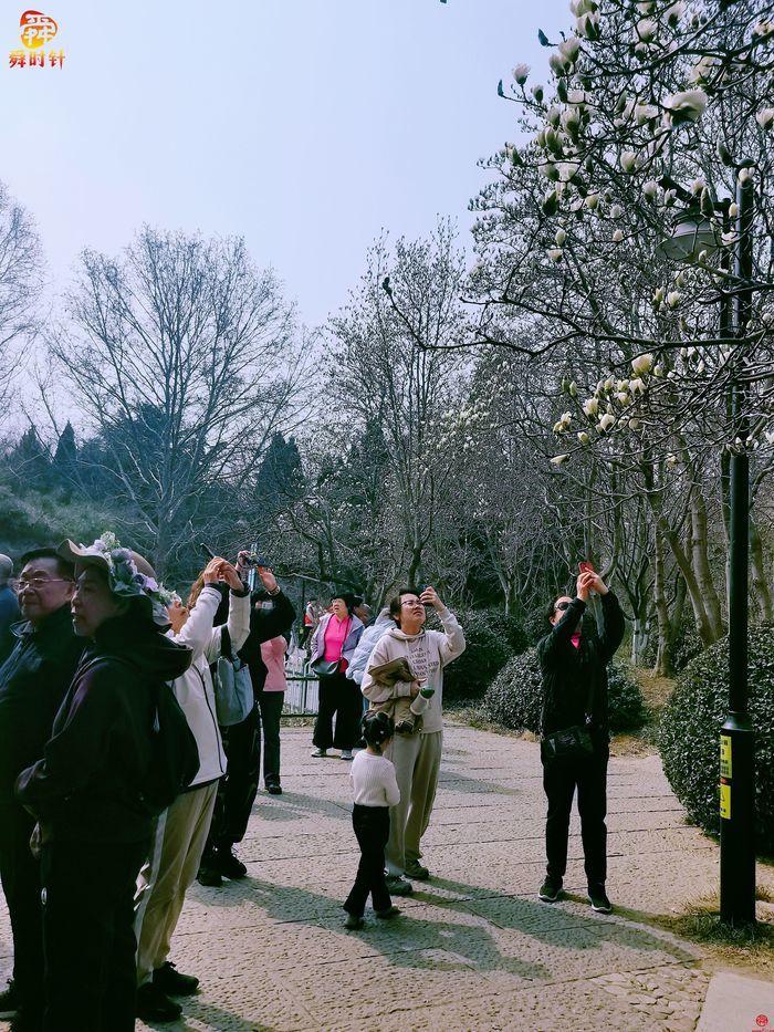 遇见春天里的济南 舜时针拍繁花活动走进百花公园