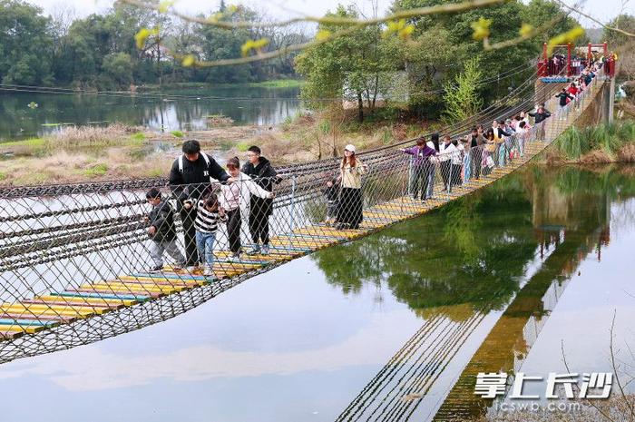 去浏河第一湾坐小火车看樱花，共赴春日之约