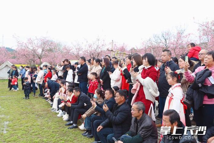 去浏河第一湾坐小火车看樱花，共赴春日之约