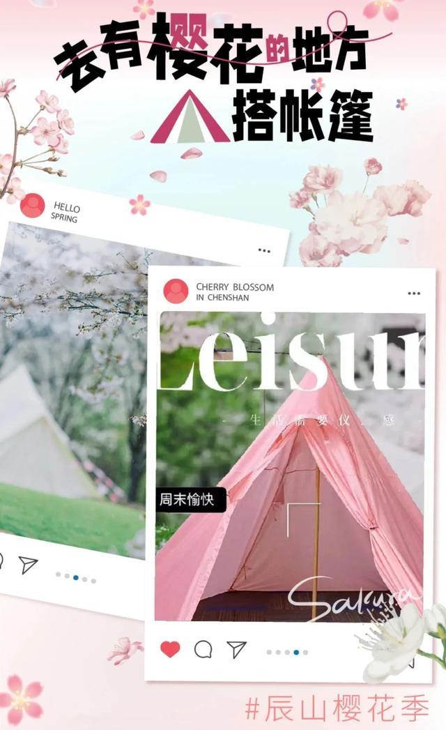 可以租梯子，允许搭帐篷……樱花季到来，上海这个公园开启“宠粉模式”！