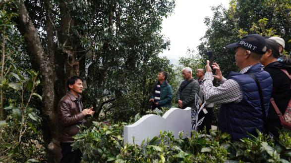 茶香飘云台 同心谋发展 两岸基层茶业协会签订友好合作协议 共促茶产业合作发展