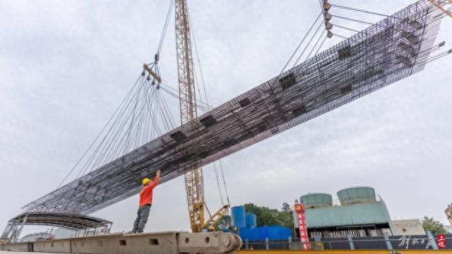 上海地铁又一“换乘王”开工，19号线首个车站进入主体工程施工阶段