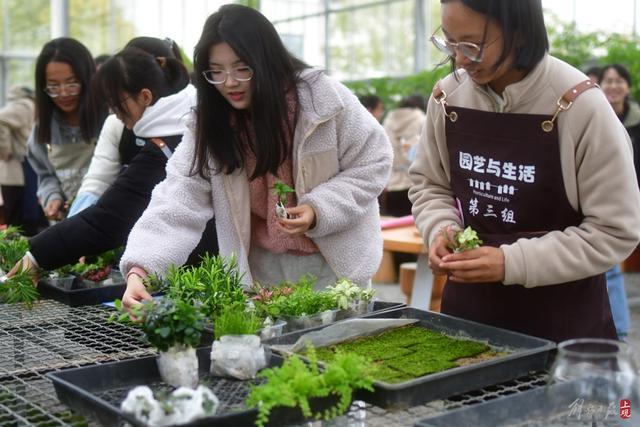 做多肉盆、生态瓶还种草莓，请园丁当老师每周开7节课仍被秒杀