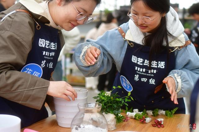 做多肉盆、生态瓶还种草莓，请园丁当老师每周开7节课仍被秒杀