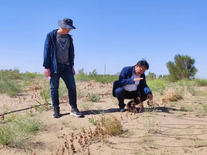 沙窝窝里走出来的工程师，又回到了沙窝窝里……