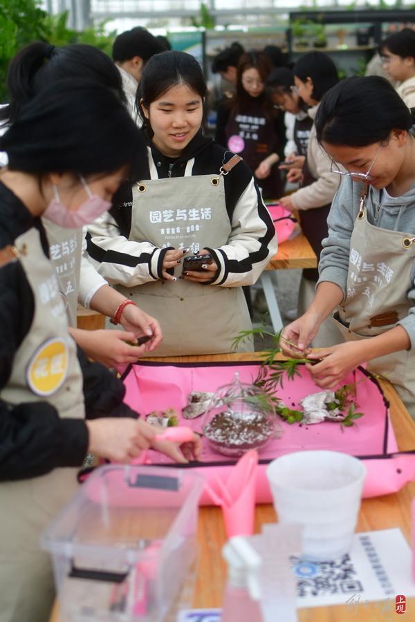 做多肉盆、生态瓶还种草莓，请园丁当老师每周开7节课仍被秒杀