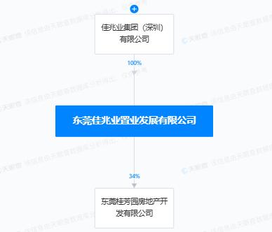 ​东莞桂芳园房地产开发有限公司违规销售商品房被罚