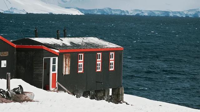 南极洲邮局招聘工作人员 负责数企鹅和分拣邮件
