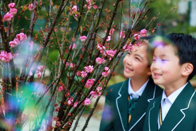 点开，见花开！奉浦校园春景大赏，哪所学校惊艳到你了？