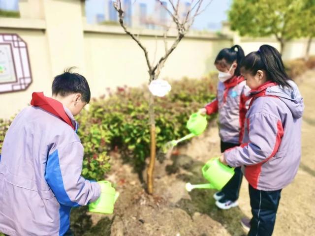 点开，见花开！奉浦校园春景大赏，哪所学校惊艳到你了？