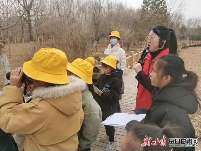 走！一起去张掖黑河湿地观鸟寻踪