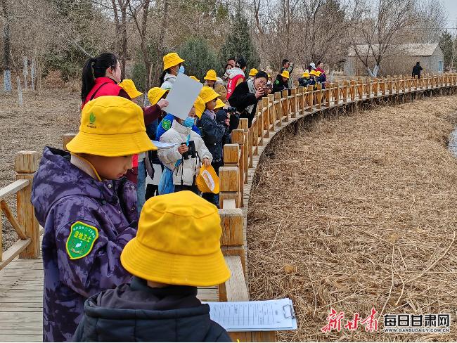 走！一起去张掖黑河湿地观鸟寻踪