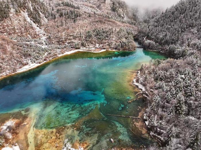 C视频丨一份春天的惊喜，又见浪漫九寨雪