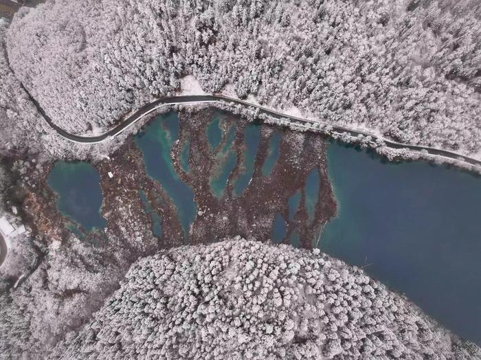 C视频丨一份春天的惊喜，又见浪漫九寨雪