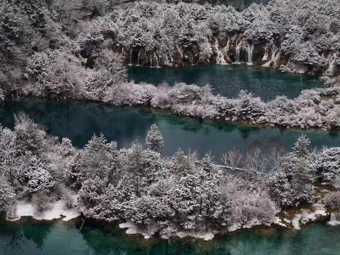 C视频丨一份春天的惊喜，又见浪漫九寨雪