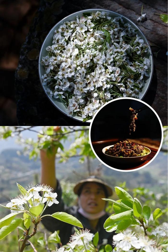 神州风物｜来云南，尝一口春天的味道