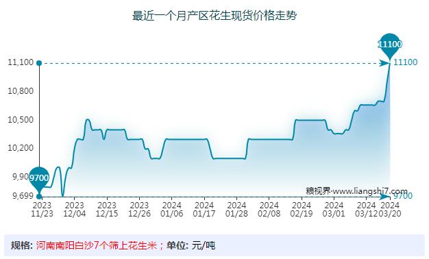 花生：主力油厂即将高价入市收购？