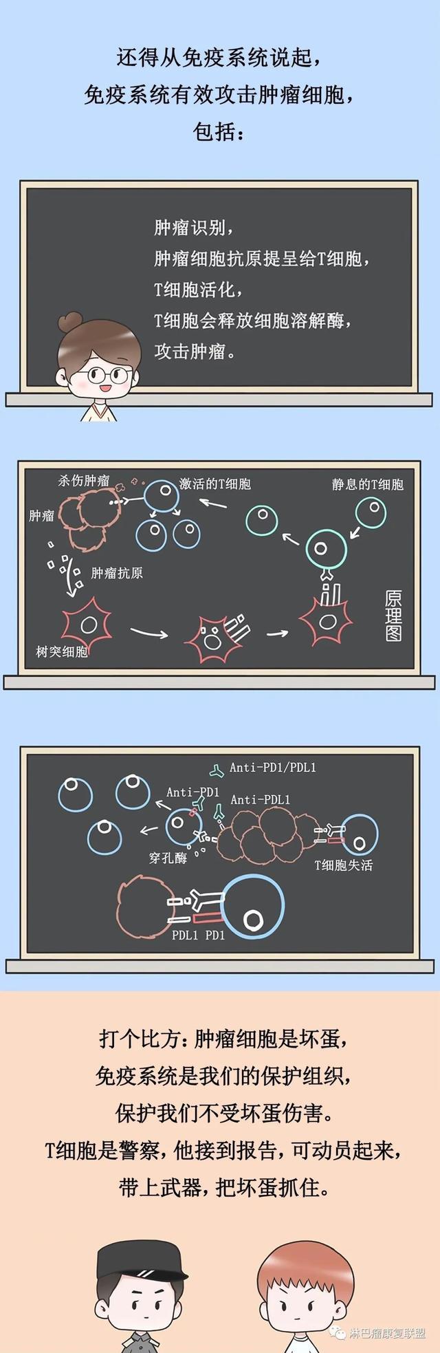 CAR-T免疫疗法，是什么？