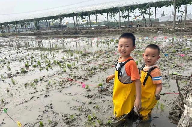 从培训机构辞职后，她不再心累，在“没有天花板的地方”找到人生新方向