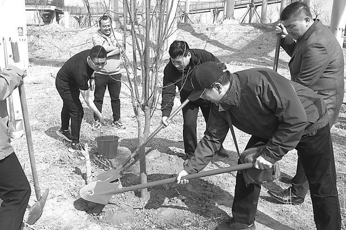 河北冀华律师事务所在衡水湖湿地公园开展了植树活动