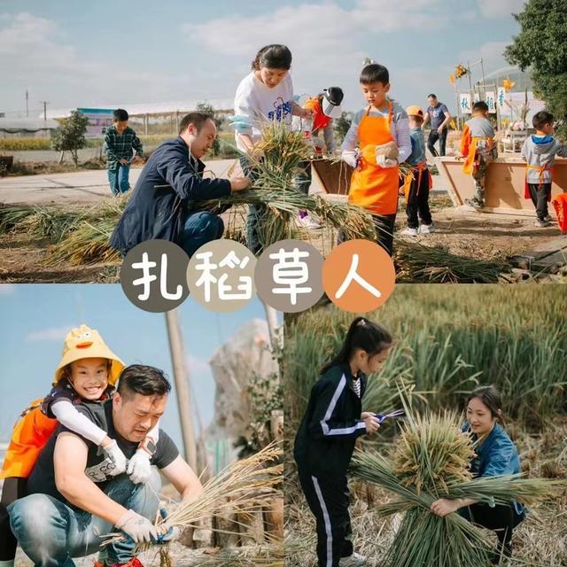 从培训机构辞职后，她不再心累，在“没有天花板的地方”找到人生新方向