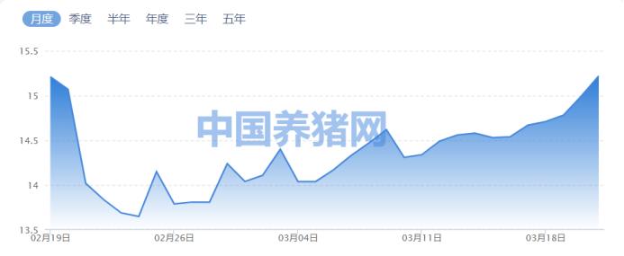 涨价题材轮番暴涨！板块龙头历史新高，涨价逻辑持续发酵，这五大规律或可关注