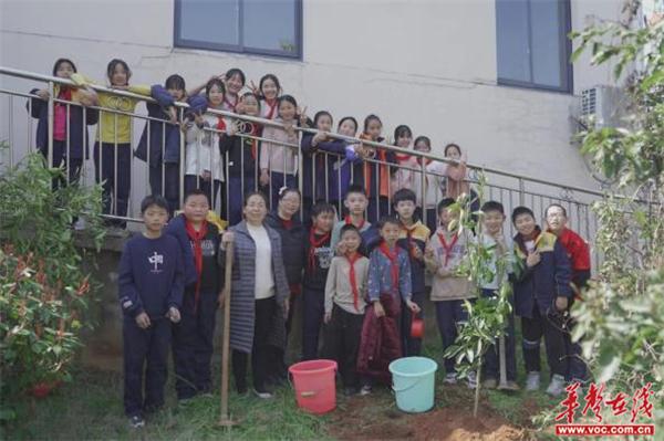 [组图]仙庾中心学校：阳春三月 我们一起来植树