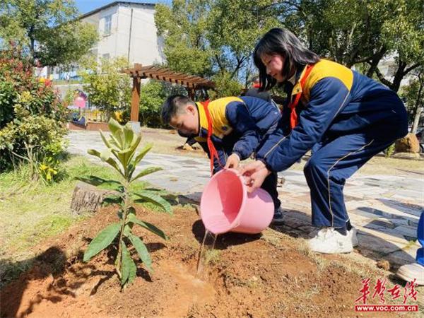 [组图]仙庾中心学校：阳春三月 我们一起来植树