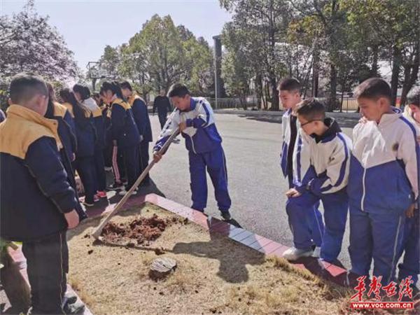 [组图]仙庾中心学校：阳春三月 我们一起来植树