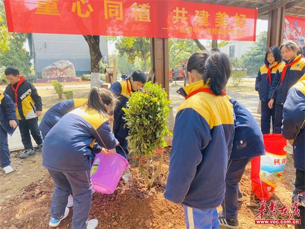 [组图]仙庾中心学校：阳春三月 我们一起来植树