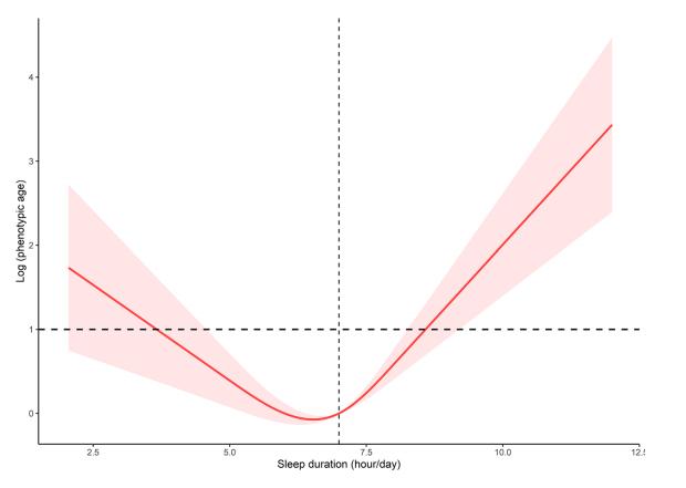 睡眠与表型年龄呈“U形”关系，要睡在拐点处！最新研究：每天7小时睡眠是最佳“保养品”，过多/少的睡眠时间都会加速衰老