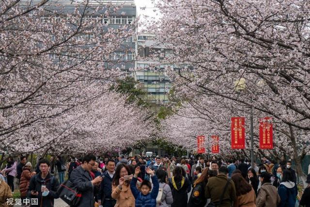 同济大学突然官宣！会被上海人挤爆吗？注意网传复旦有这乱象？求证