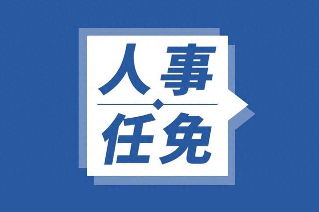 杭州市人民政府关于王振峰等同志任职的通知