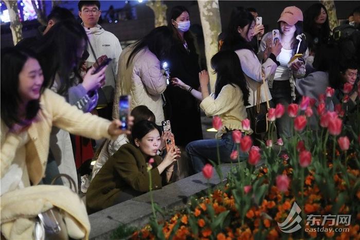 市民游客解锁外滩郁金香夜景模式，“花中皇后”扮靓夜上海｜组图