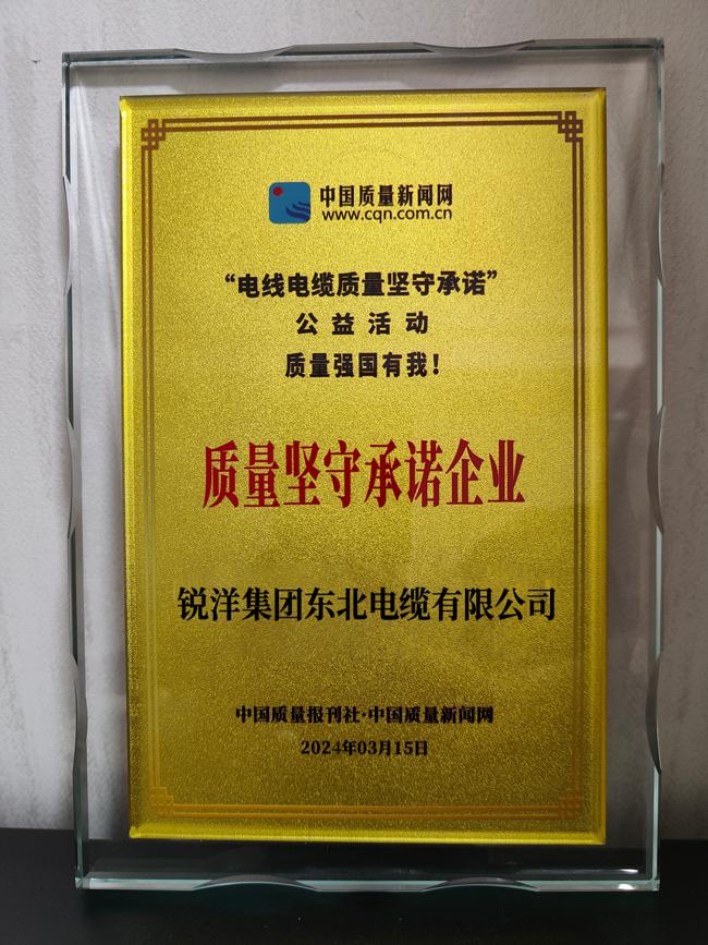 以创新赋能未来 以品质铸就品牌——锐洋集团东北电缆有限公司加快实现高质量发展