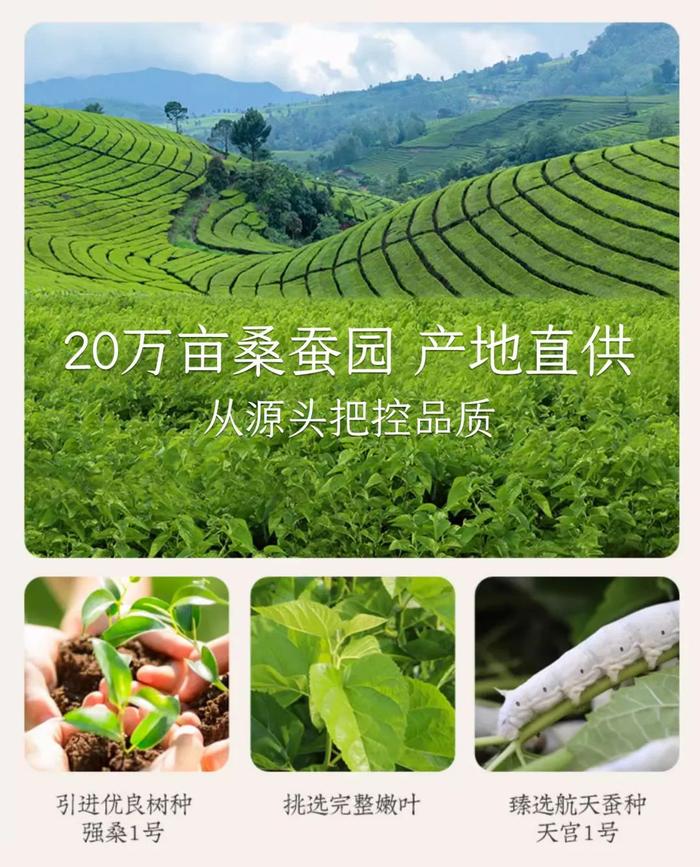 199入手双宫茧蚕丝被？轻薄透气、春夏换季刚需