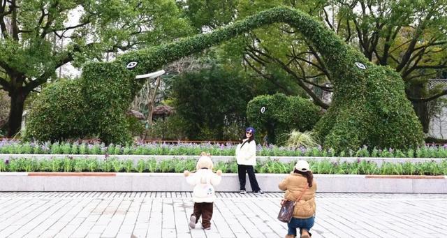 和你记忆中的差多少？上海动物园 “大象家族”植物造景变咯！