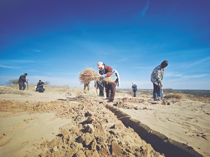 内蒙古第2号总林长令，明确要高质量完成沙化土地综合治理1500万亩