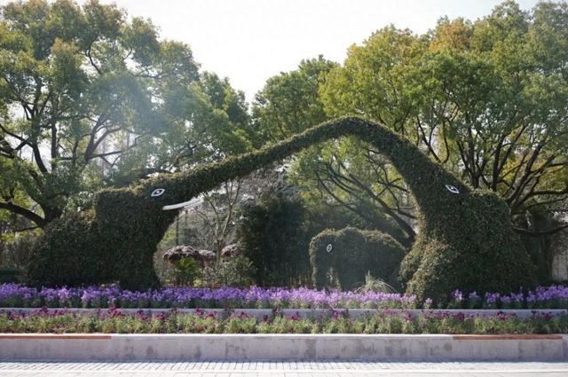 和你记忆中的差多少？上海动物园 “大象家族”植物造景变咯！