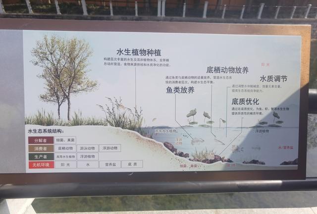 水质达标就是好？老百姓有不同看法，上海将用3年创建80个水美村庄或社区